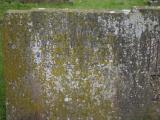 image of grave number 849633